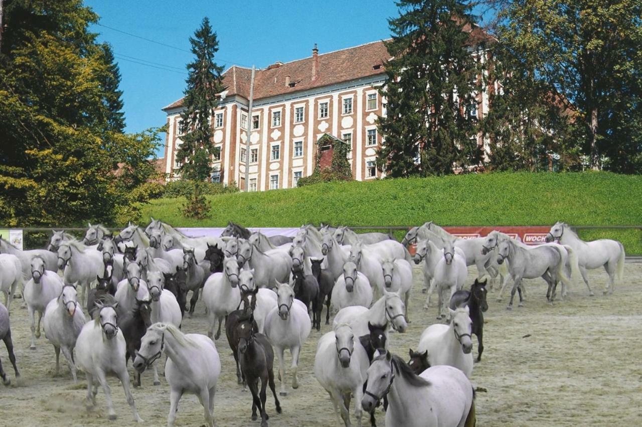 Вілла Haus Soeding Soding Екстер'єр фото